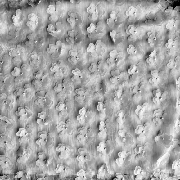 A New Day Sheer Cream Sleeveless 3D Floral Appliqué Top Blouse Size S - Picture 3 of 11